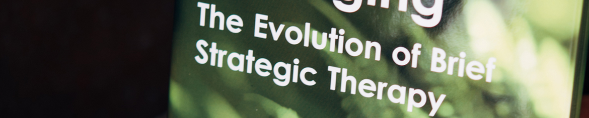 the theoretical model
